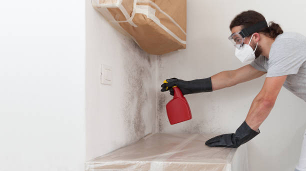 Professional Bathroom Mold Removal technician working in Kenvil, NJ